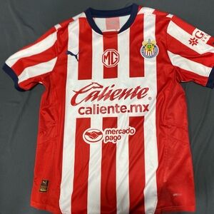 Chivas 24-25 Puma Red and White Striped Soccer Jersey